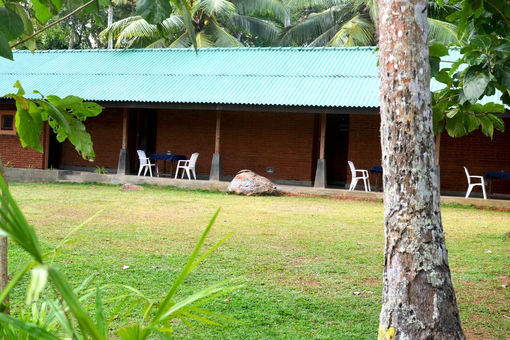 Jungle Beach Hostel Unawatuna Exterior foto